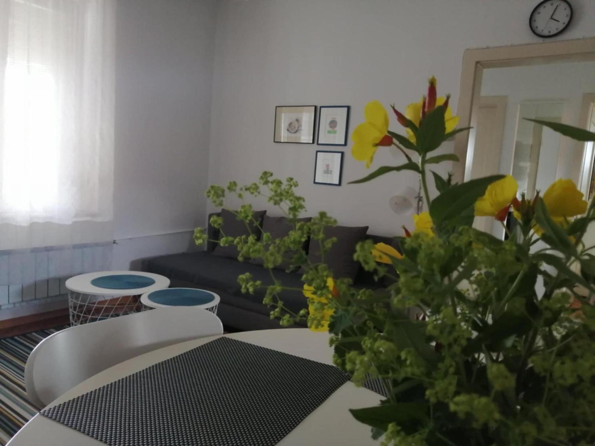 City Center Blue Sky House Postojna Εξωτερικό φωτογραφία